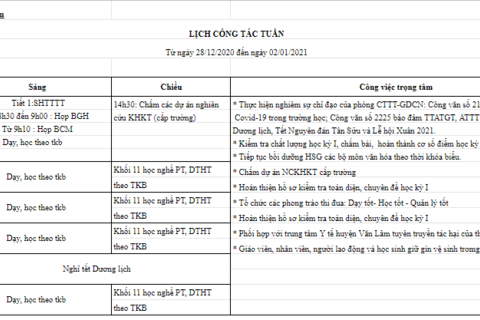 Lịch làm việc tuần 17 (từ ngày 28/12/2020 đến ngày 02/01/2021)